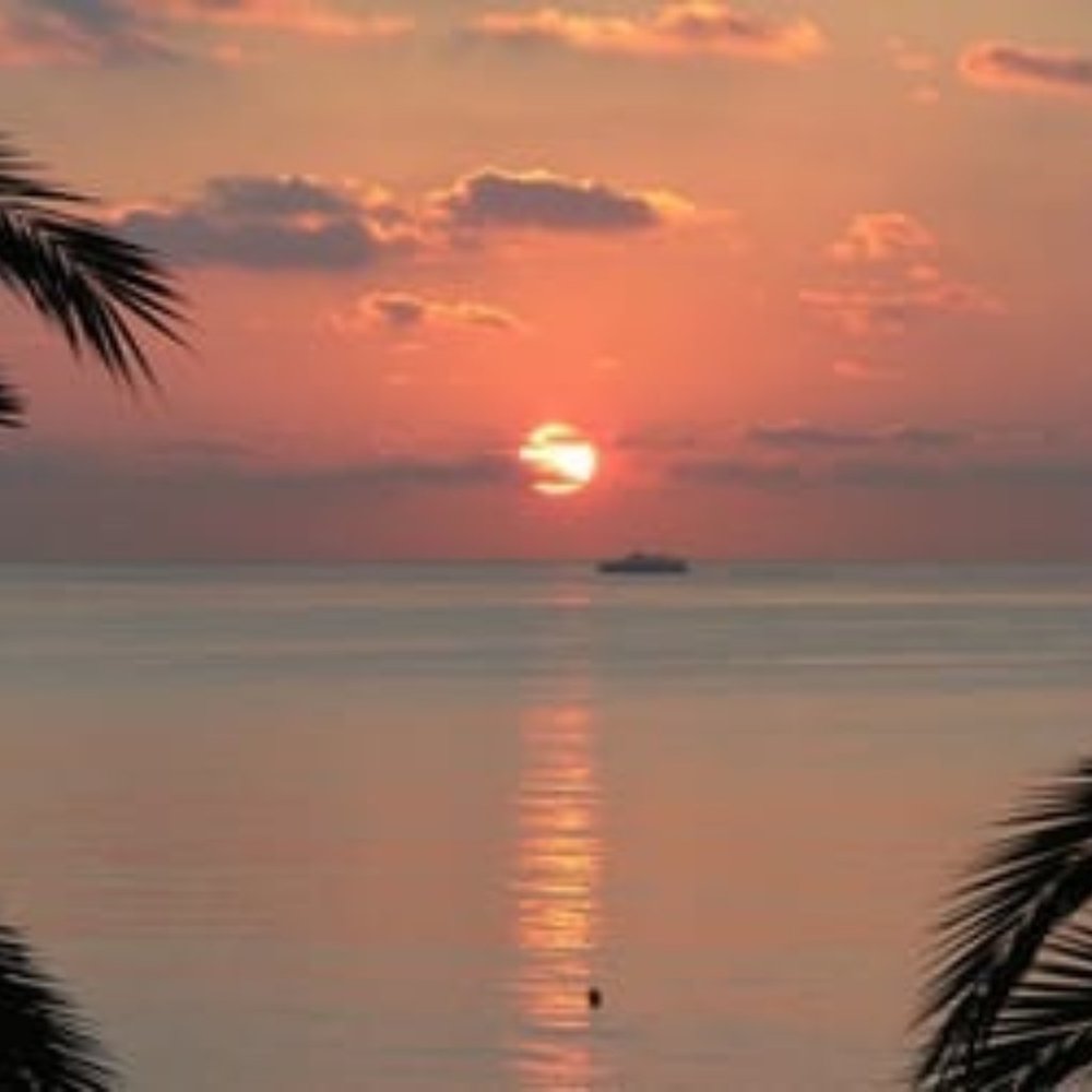 POST SHOW BUNDLE FOR ANNEKE